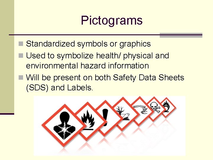 Pictograms n Standardized symbols or graphics n Used to symbolize health/ physical and environmental