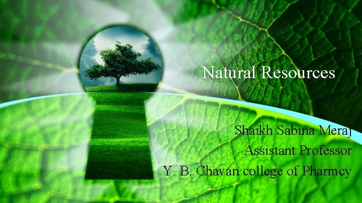 Natural Resources Shaikh Sabina Meraj Assistant Professor Y. B. Chavan college of Pharmcy 