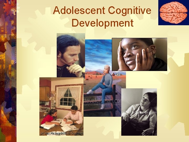 Adolescent Cognitive Development 