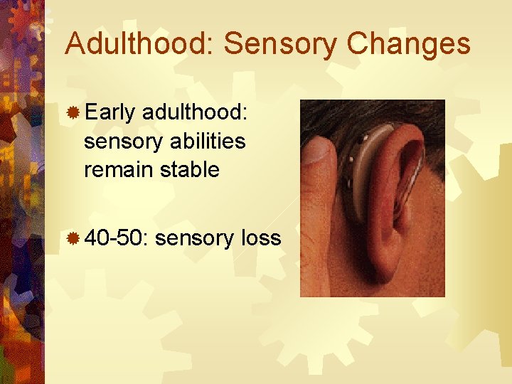 Adulthood: Sensory Changes ® Early adulthood: sensory abilities remain stable ® 40 -50: sensory