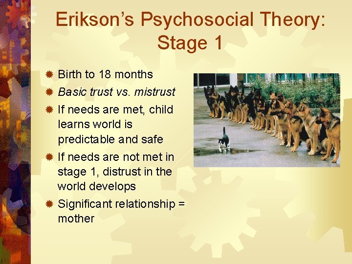 Erikson’s Psychosocial Theory: Stage 1 ® Birth to 18 months ® Basic trust vs.
