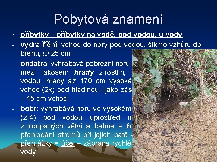 Pobytová znamení • příbytky – příbytky na vodě, pod vodou, u vody - vydra