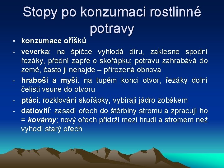 Stopy po konzumaci rostlinné potravy • konzumace oříšků - veverka: na špičce vyhlodá díru,