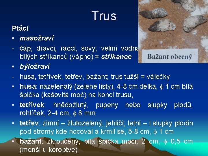 Trus Ptáci • masožraví - čáp, dravci, racci, sovy; velmi vodnatý, řídký podoba bílých
