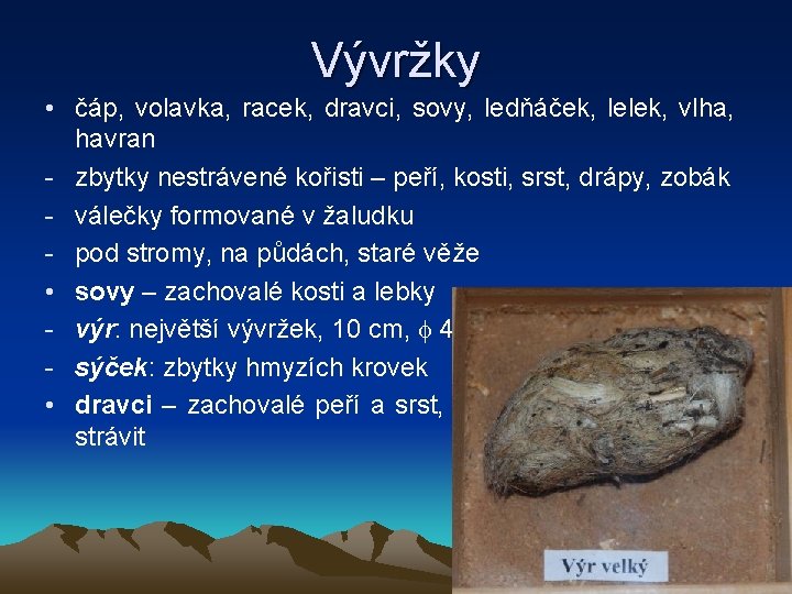 Vývržky • čáp, volavka, racek, dravci, sovy, ledňáček, lelek, vlha, havran - zbytky nestrávené