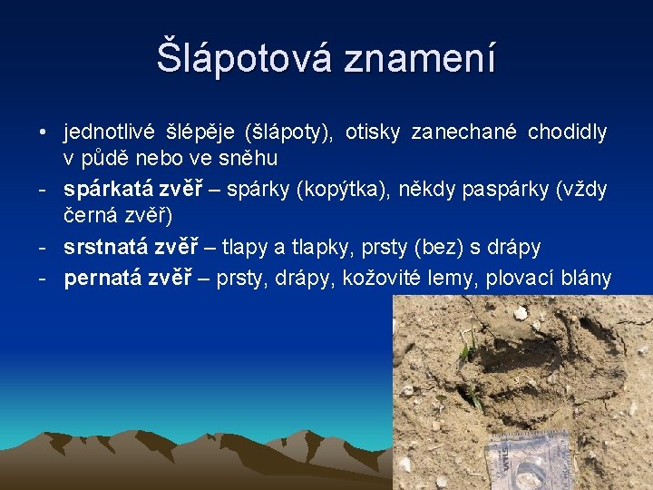 Šlápotová znamení • jednotlivé šlépěje (šlápoty), otisky zanechané chodidly v půdě nebo ve sněhu