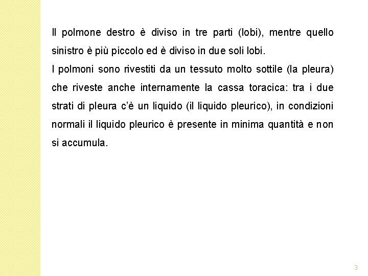 Il polmone destro è diviso in tre parti (lobi), mentre quello sinistro è più