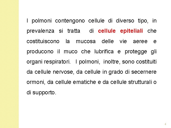 I polmoni contengono cellule di diverso tipo, in prevalenza si tratta costituiscono la di