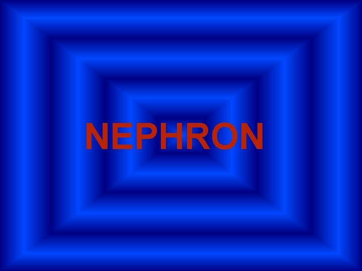 NEPHRON 