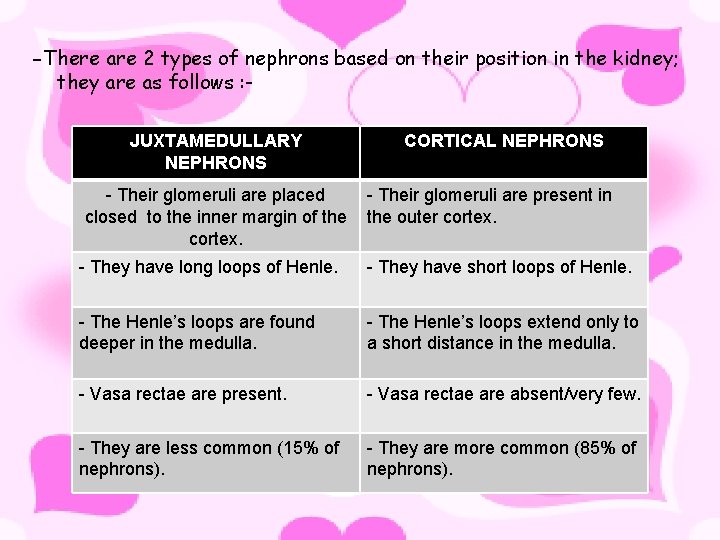 -There are 2 types of nephrons based on their position in the kidney; they