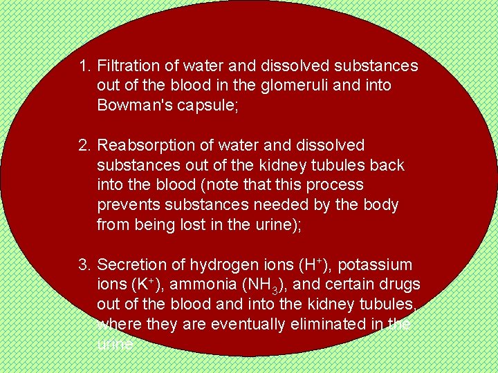 1. Filtration of water and dissolved substances out of the blood in the glomeruli