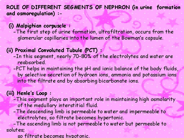 ROLE OF DIFFERENT SEGMENTS OF NEPHRON (in urine formation and osmoregulation) : (i) Malpighian