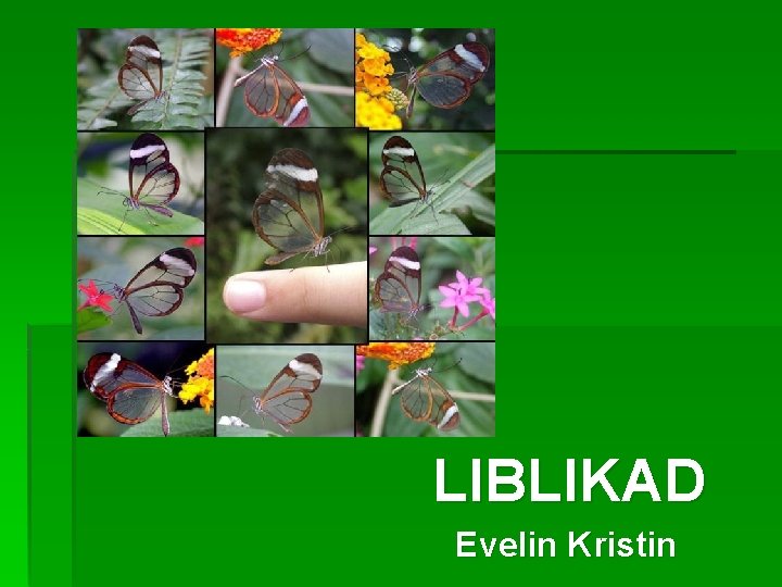 LIBLIKAD Evelin Kristin 