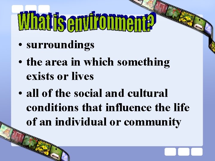  • surroundings • the area in which something exists or lives • all