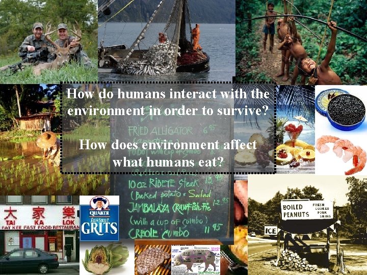 How do humans interact with the environment in order to survive? How does environment