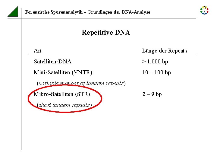 Forensische Spurenanalytik – Grundlagen der DNA-Analyse Repetitive DNA Art Länge der Repeats Satelliten-DNA >