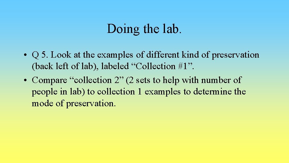 Doing the lab. • Q 5. Look at the examples of different kind of