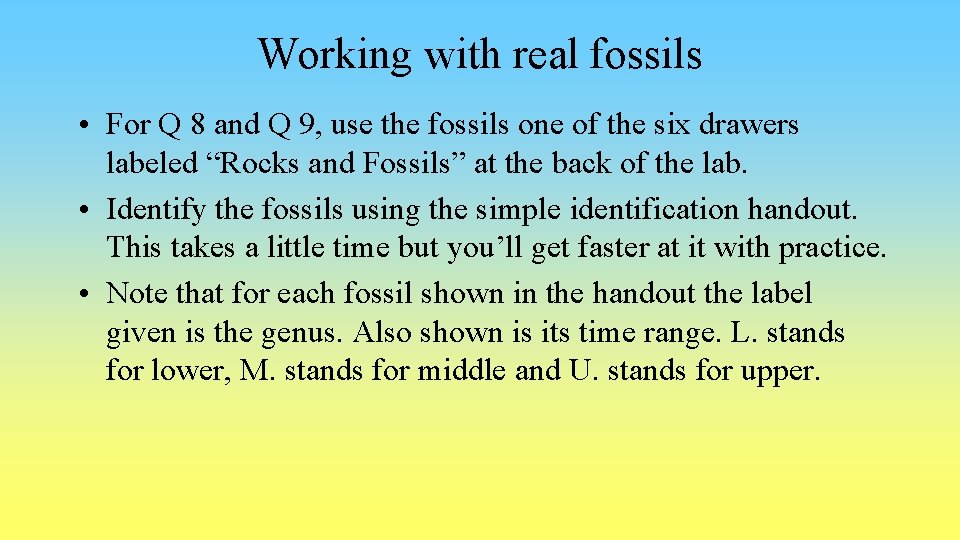 Working with real fossils • For Q 8 and Q 9, use the fossils