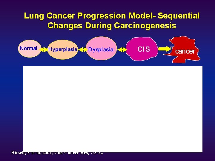 Lung Cancer Progression Model- Sequential Changes During Carcinogenesis Hirsch, F et al, 2001, Clin