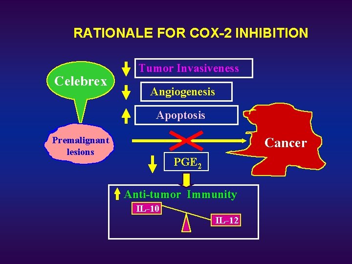 RATIONALE FOR COX-2 INHIBITION Celebrex Tumor Invasiveness Angiogenesis Apoptosis Premalignant lesions Cancer PGE 2