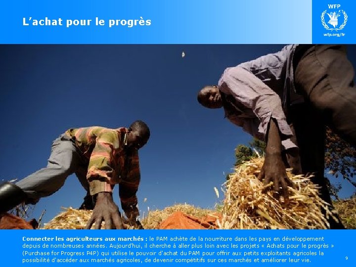 L’achat pour le progrès Connecter les agriculteurs aux marchés : le PAM achète de L’achat pour le progrès Connecter les agriculteurs aux marchés : le PAM achète de