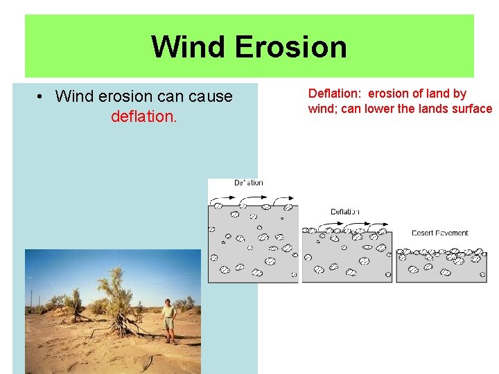 Wind Erosion • Wind erosion cause deflation. Deflation: erosion of land by wind; can