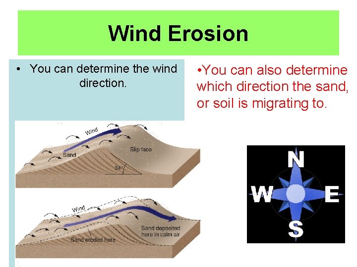 Wind Erosion • You can determine the wind direction. • You can also determine