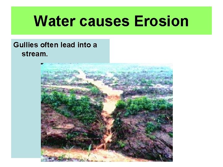 Water causes Erosion Gullies often lead into a stream. 