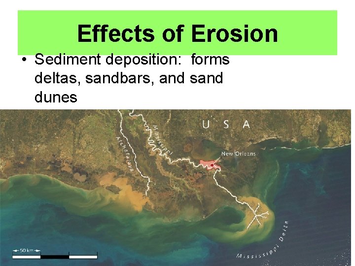 Effects of Erosion • Sediment deposition: forms deltas, sandbars, and sand dunes 