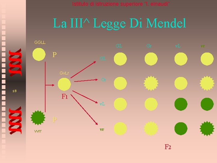 Istituto di istruzione superiore “l. einaudi” La III^ Legge Di Mendel GGLL GL P