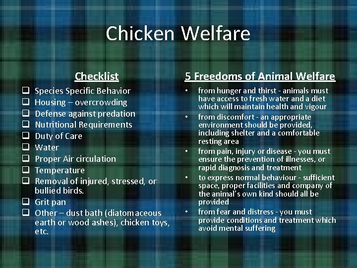 Chicken Welfare Checklist Species Specific Behavior Housing – overcrowding Defense against predation Nutritional Requirements Chicken Welfare Checklist Species Specific Behavior Housing – overcrowding Defense against predation Nutritional Requirements