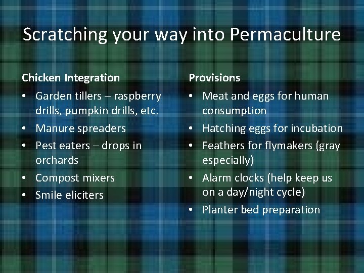 Chickens Permaculture Design The Mac Curdy Farm perspective