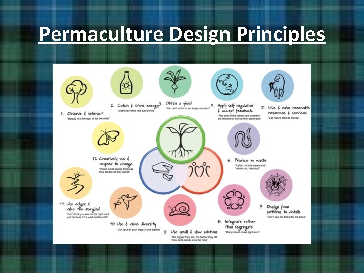 Permaculture Design Principles Permaculture Design Principles