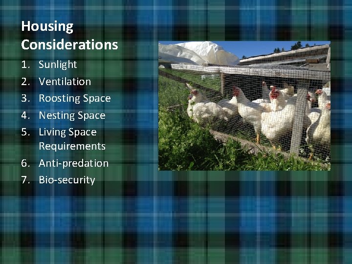 Housing Considerations 1. 2. 3. 4. 5. Sunlight Ventilation Roosting Space Nesting Space Living Housing Considerations 1. 2. 3. 4. 5. Sunlight Ventilation Roosting Space Nesting Space Living