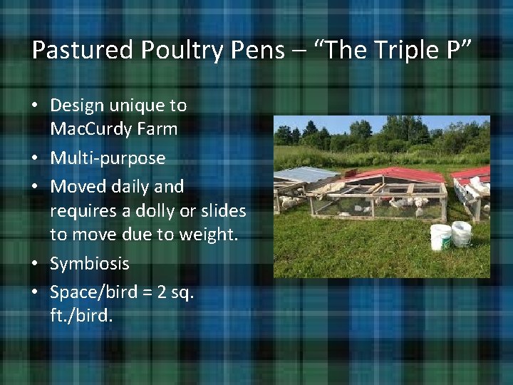 Pastured Poultry Pens – “The Triple P” • Design unique to Mac. Curdy Farm Pastured Poultry Pens – “The Triple P” • Design unique to Mac. Curdy Farm