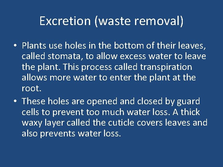Excretion (waste removal) • Plants use holes in the bottom of their leaves, called