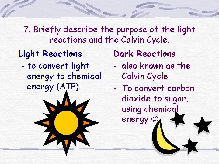 7. Briefly describe the purpose of the light reactions and the Calvin Cycle. Light 7. Briefly describe the purpose of the light reactions and the Calvin Cycle. Light