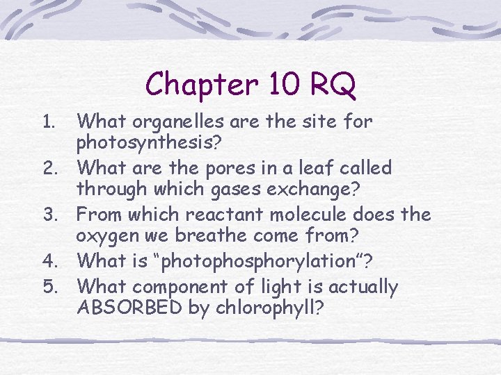 Chapter 10 RQ 1. 2. 3. 4. 5. What organelles are the site for Chapter 10 RQ 1. 2. 3. 4. 5. What organelles are the site for