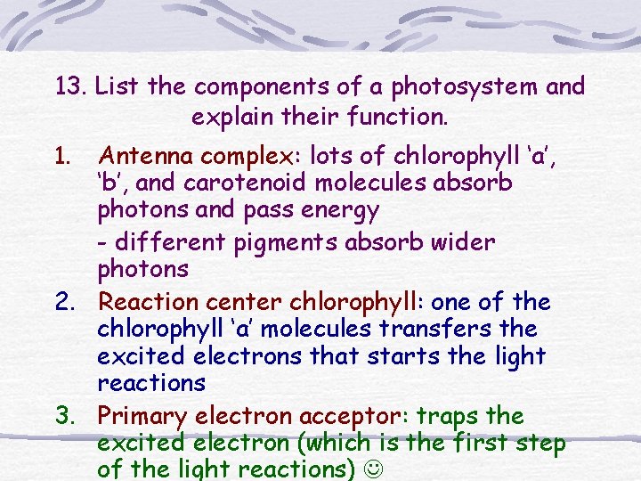 13. List the components of a photosystem and explain their function. Antenna complex: lots 13. List the components of a photosystem and explain their function. Antenna complex: lots