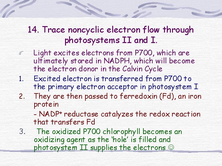 14. Trace noncyclic electron flow through photosystems II and I. 1. 2. 3. Light 14. Trace noncyclic electron flow through photosystems II and I. 1. 2. 3. Light
