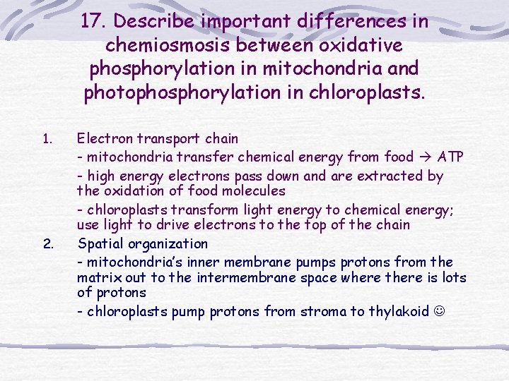 17. Describe important differences in chemiosmosis between oxidative phosphorylation in mitochondria and photophosphorylation in 17. Describe important differences in chemiosmosis between oxidative phosphorylation in mitochondria and photophosphorylation in