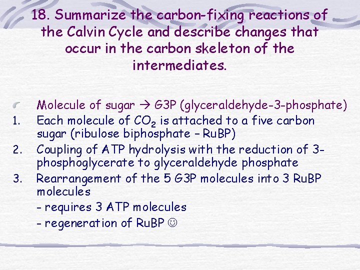 18. Summarize the carbon-fixing reactions of the Calvin Cycle and describe changes that occur 18. Summarize the carbon-fixing reactions of the Calvin Cycle and describe changes that occur