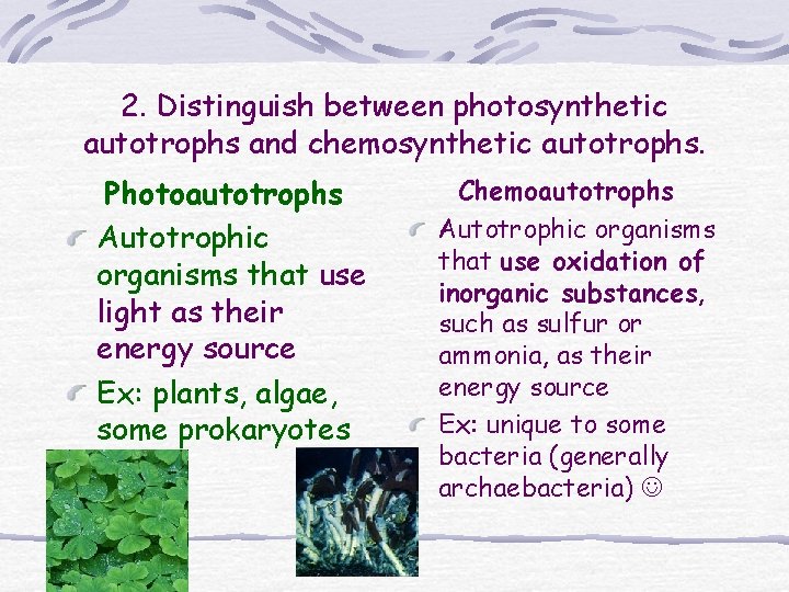 2. Distinguish between photosynthetic autotrophs and chemosynthetic autotrophs. Photoautotrophs Autotrophic organisms that use light 2. Distinguish between photosynthetic autotrophs and chemosynthetic autotrophs. Photoautotrophs Autotrophic organisms that use light