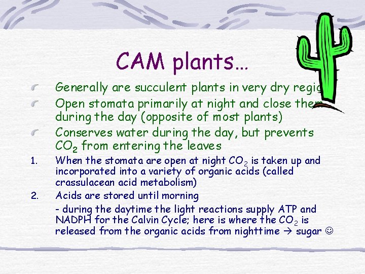 CAM plants… 1. 2. Generally are succulent plants in very dry regions Open stomata CAM plants… 1. 2. Generally are succulent plants in very dry regions Open stomata