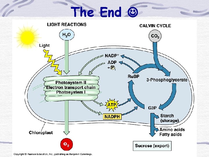 The End The End