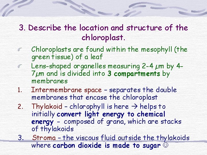 3. Describe the location and structure of the chloroplast. 1. 2. 3. Chloroplasts are 3. Describe the location and structure of the chloroplast. 1. 2. 3. Chloroplasts are
