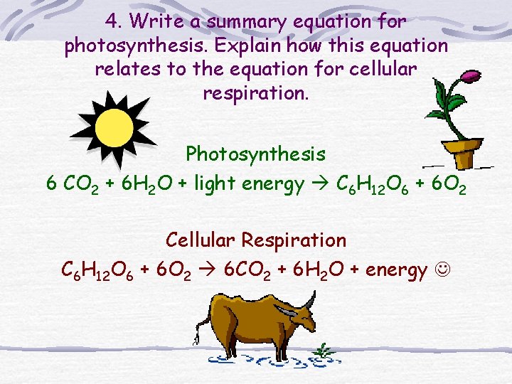 4. Write a summary equation for photosynthesis. Explain how this equation relates to the 4. Write a summary equation for photosynthesis. Explain how this equation relates to the