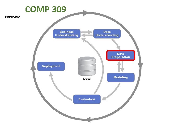 CRISP-DM COMP 309 