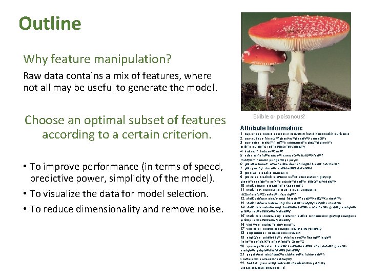 Outline Why feature manipulation? Raw data contains a mix of features, where not all