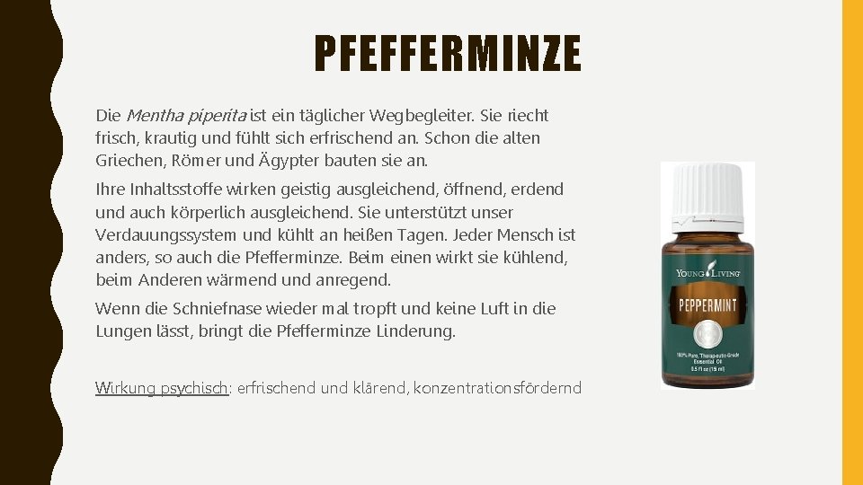 PFEFFERMINZE Die Mentha piperita ist ein täglicher Wegbegleiter. Sie riecht frisch, krautig und fühlt